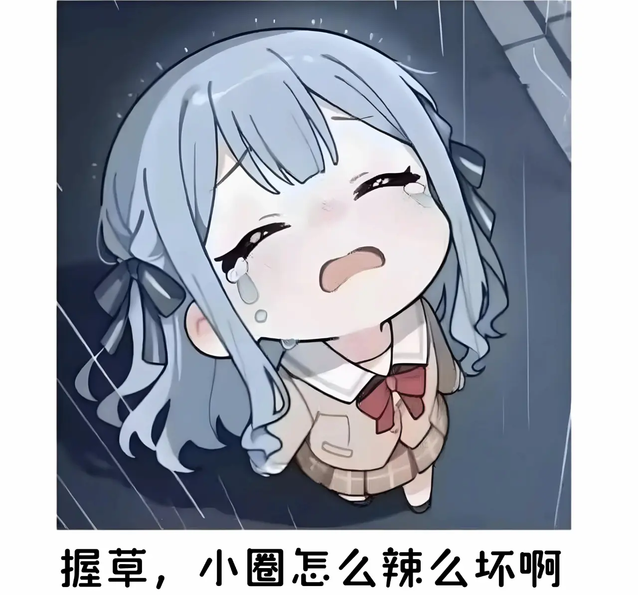 西檬之家字母圈K9是什么？ 一