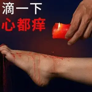 西檬之家字母圈k9犬系是什么？ 一