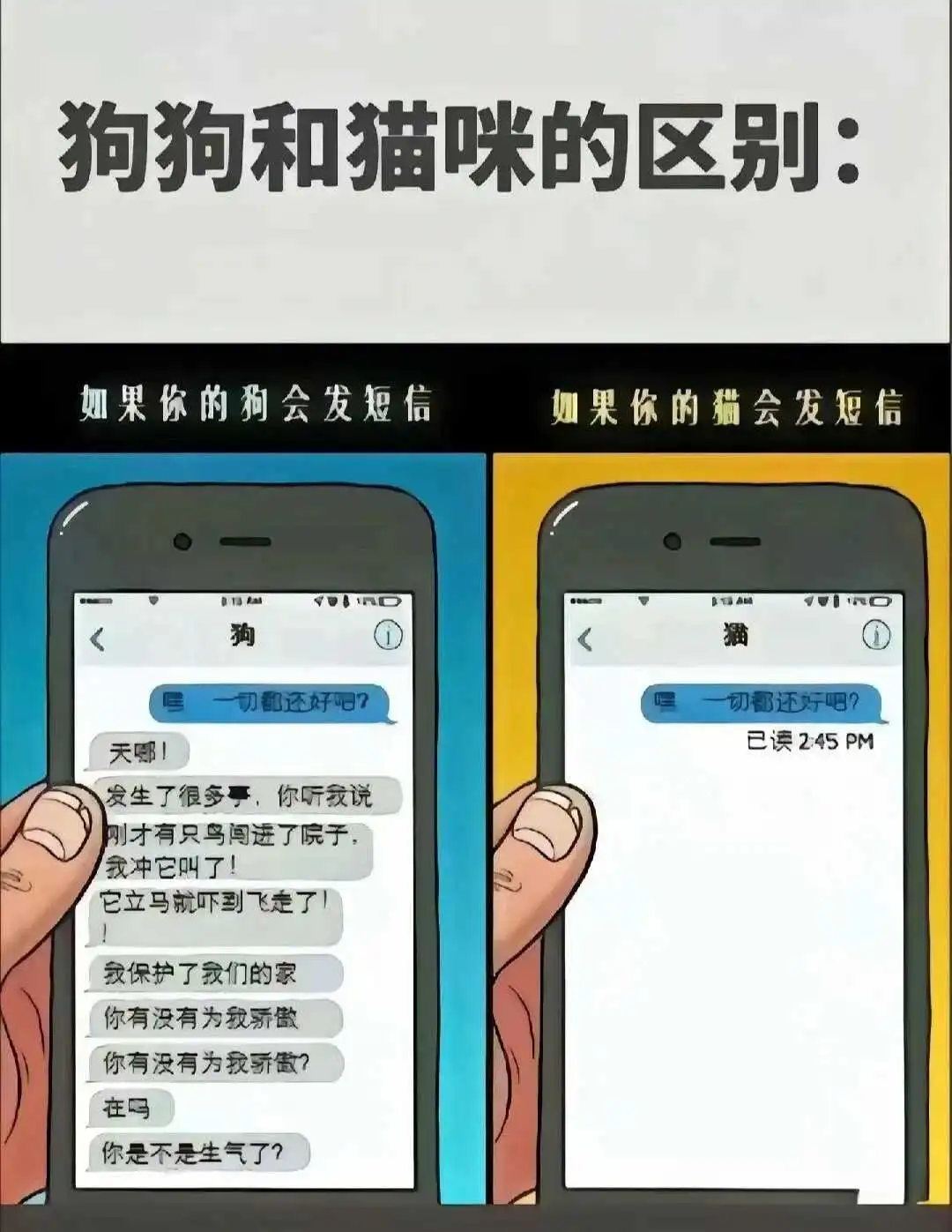 西檬之家字母圈k8是什么? 一