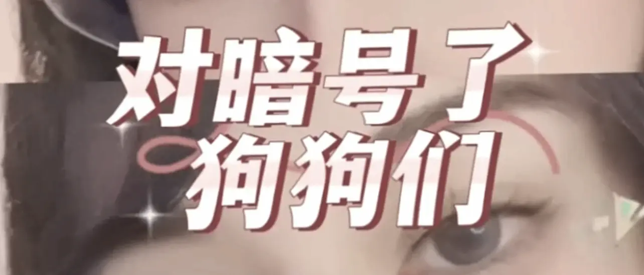 西檬之家-字母圈Sub是什么?你的属性揭秘 一