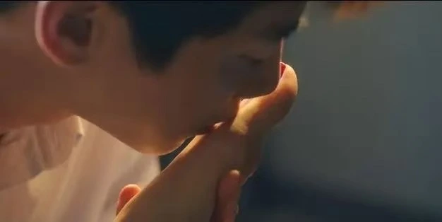 西檬之家k9是什么?字母圈新人入圈必读 一