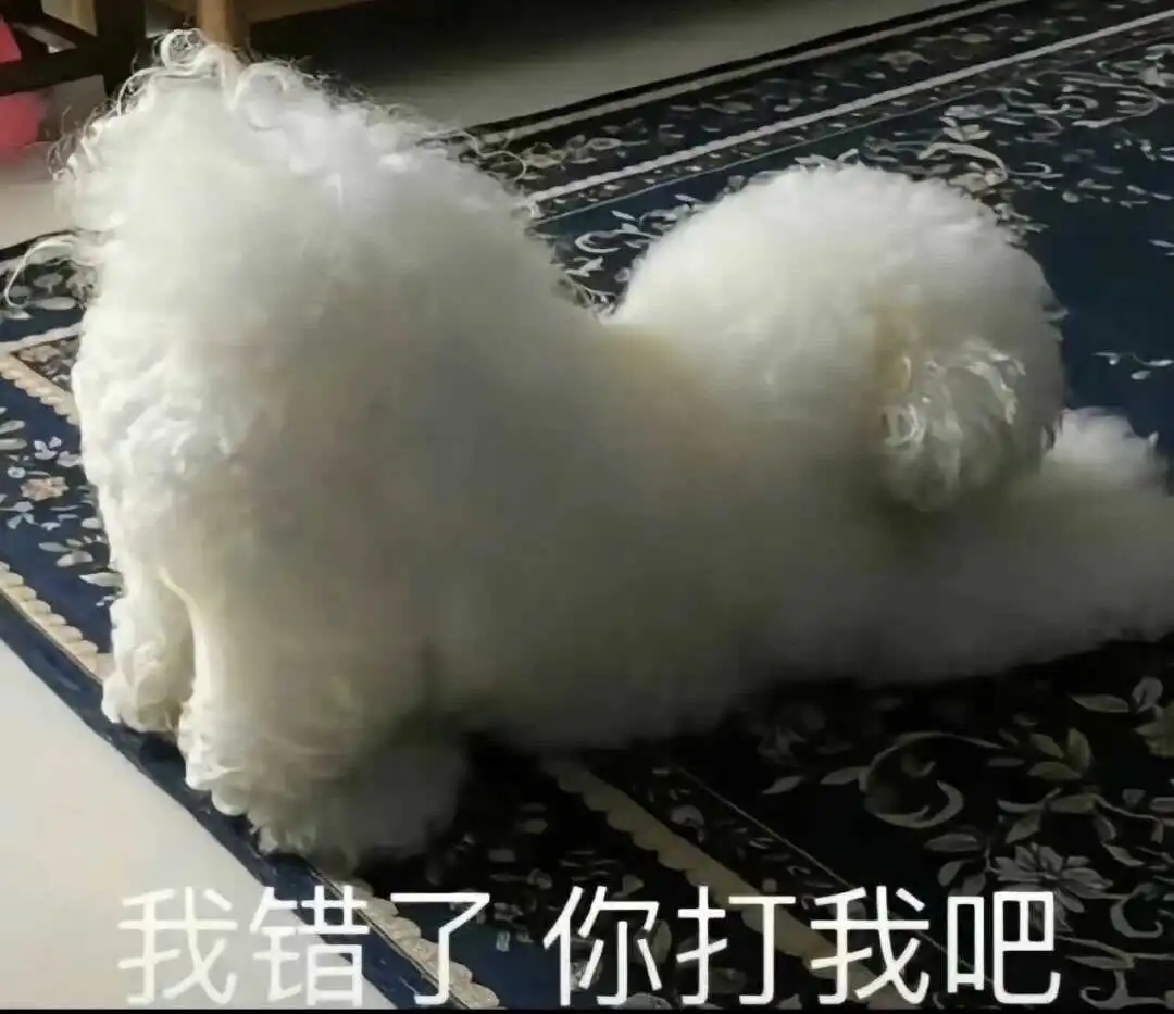 西檬之家字母圈的K8是什么？ 一