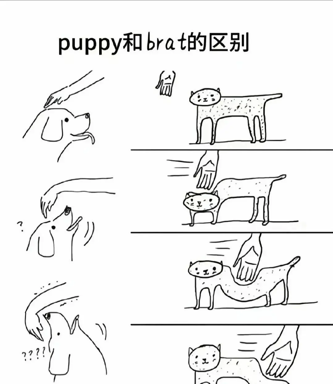 西檬之家TK挠痒是什么?字母圈新人必看 一