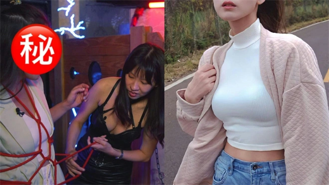 西檬之家s倾向解析:是痛感追求还是权力臣服? 一