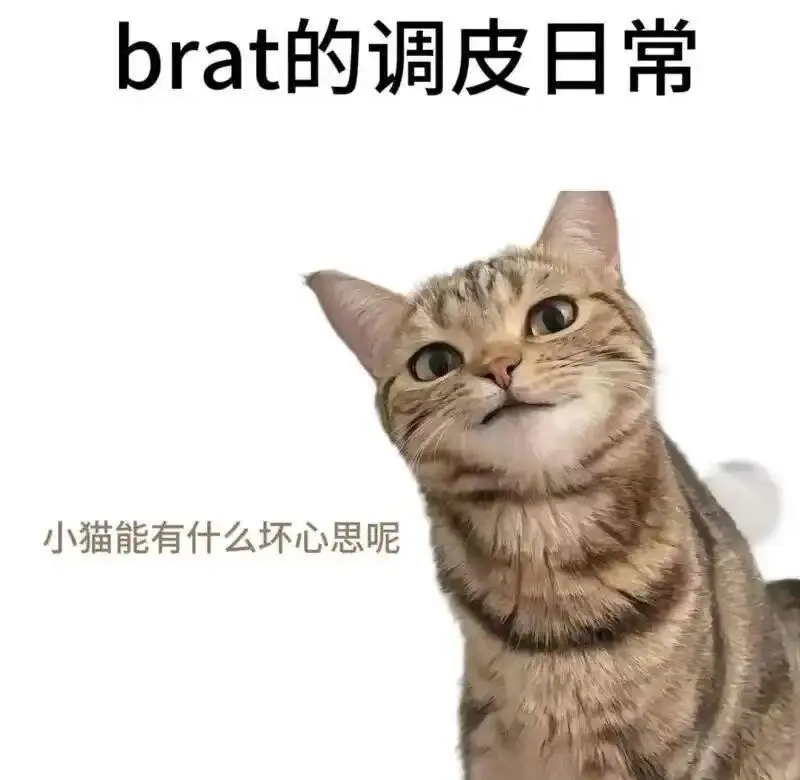西檬之家Dirty Talk是什么？字母圈新人入圈 一