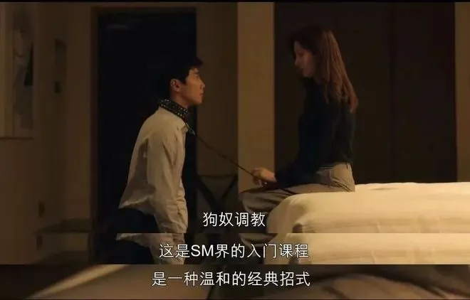 西檬之家sm亚文化新人指南 一