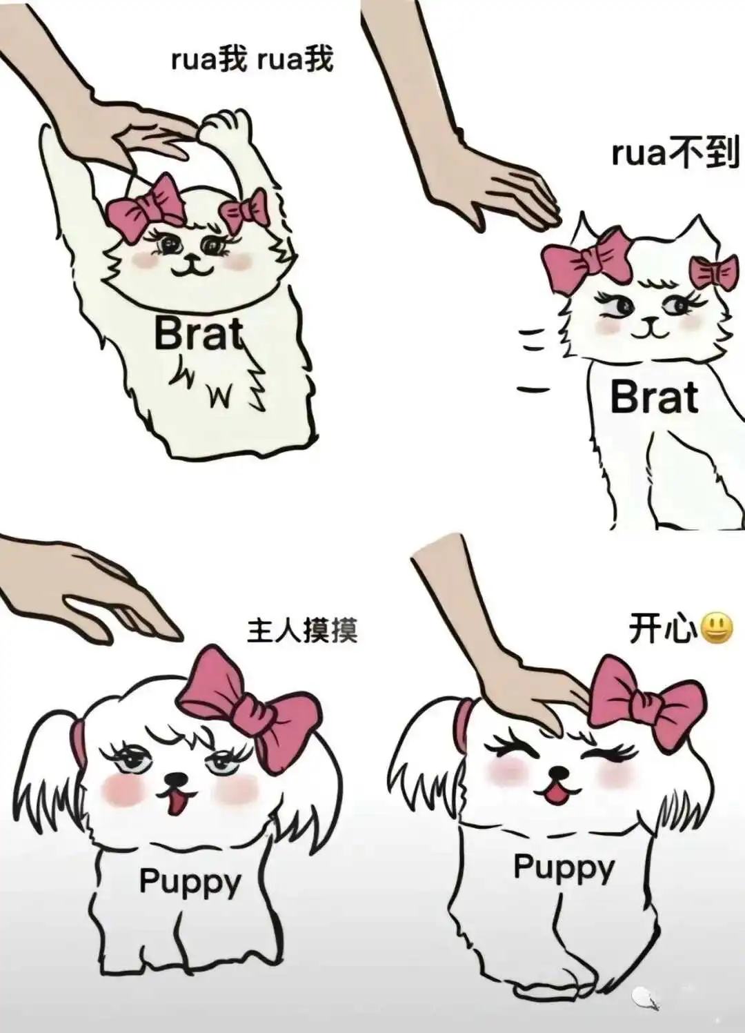 西檬之家BDSM入圈新人权威指南 一